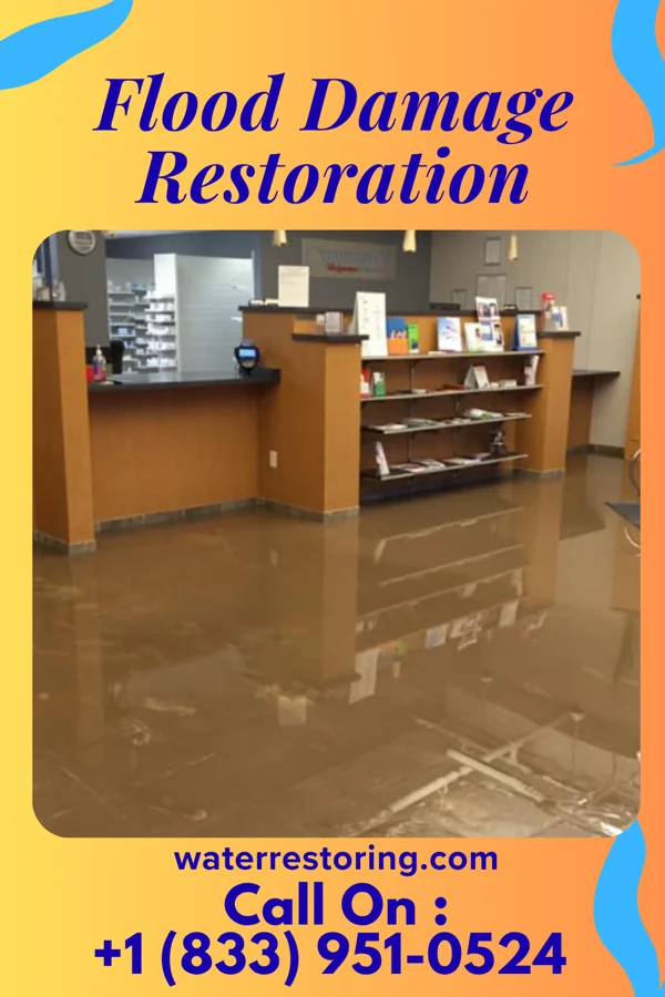 Flood Damage Restoration in Palm Springs North, FL